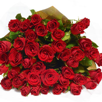 Perché si regalano le rose rosse a San Valentino? - Il Blog della